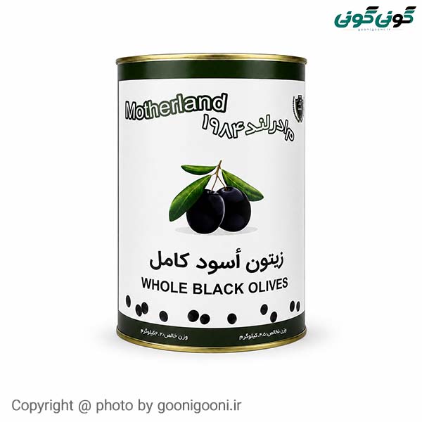 زیتون با هسته 5500 گرم ناخالص مادرلند